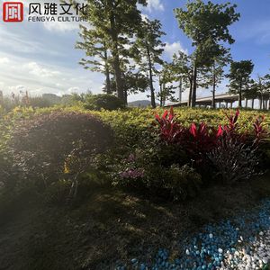 一级A片猛交BBBB
